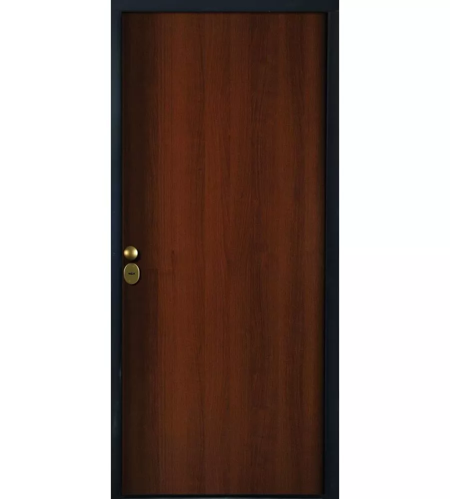 PORTONCINO BLINDATO COLORE TANGANICA CON APERTURA A DESTRA, 90X210 CM